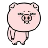 Pig Again 💖 MOV 24