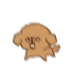 Little Brown Dog 💖 MOV 6