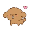 Little Brown Dog 💖 MOV 7
