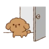 Little Brown Dog 💖 MOV 8