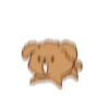 Little Brown Dog 💖 MOV 9