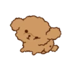 Little Brown Dog 💖 MOV 10