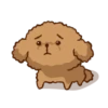 Little Brown Dog 💖 MOV 11