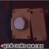 PATOS 2 🦆🦆🦆 MOV. 8