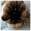 PiChIChOS MIX 3✨️🐶 10
