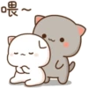mochi peach cat 5