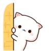 🍥🐱Mochi peach cat🐱🍥 12