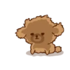 Little Brown Dog 💖 MOV 13