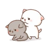 🍥🐱Mochi peach cat🐱🍥 13