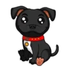 Perrito Negr.17👩🏻‍🎨Mov.1712 11