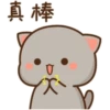 mochi peach cat 7