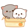 mochi peach cat 8