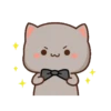🍥🐱Mochi peach cat🐱🍥 14