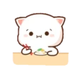🍥🐱Mochi peach cat🐱🍥 15