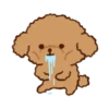Little Brown Dog 💖 MOV 14