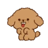 Little Brown Dog 💖 MOV 17