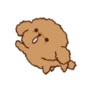 Little Brown Dog 💖 MOV 18