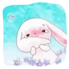 Sweet 🍭Pink 🐇Bunny💗 Mov. 13