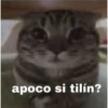 nonono 15