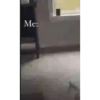 nonono 17