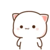 mochi peach cat 14