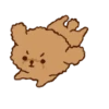 Little Brown Dog 💖 MOV 20
