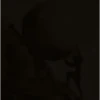 MEMES ANIMATED (italiani) 9 18