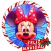 DISNEY NAVIDAD 25
