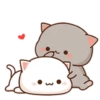 mochi peach cat 19
