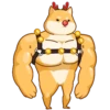 Shiba Santa 2 💖 MOV 17