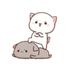 🍥🐱Mochi peach cat🐱🍥 22
