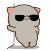 mochi peach cat 20
