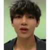 BTS stickers6 17