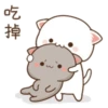 mochi peach cat 22