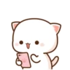 mochi peach cat 23