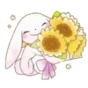 Sweet 🍭Pink 🐇Bunny💗 Mov. 16