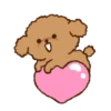 Little Brown Dog 💖 MOV 21