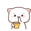 🍥🐱Mochi peach cat🐱🍥 25