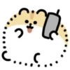 Faty Hamster 2 💖 MOV 19