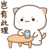 mochi peach cat 28