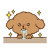 Little Brown Dog 💖 MOV 22