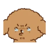 Little Brown Dog 💖 MOV 24