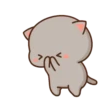 🍥🐱Mochi peach cat🐱🍥 30