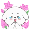 Doggie 💖 MOV 24