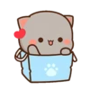 MOCHIS🐈CAT Extra"Z" MOV 5
