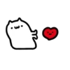 Mr Q Cat 2 💖 MOV 7
