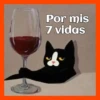 Gatos😺💞1🇵🇪Movi 5