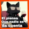 Gatos😺💞1🇵🇪Movi 6