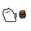 Mr Q Cat 2 💖 MOV 11