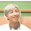 BTS Namjoon stickers 6